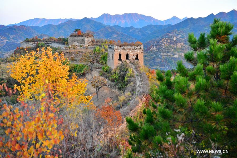 Autumn scenery of Yumuling Great Wall in North China