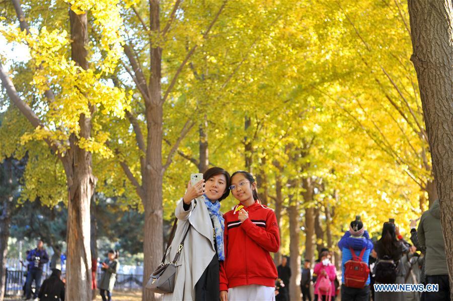 Autumn scenery in Beijing