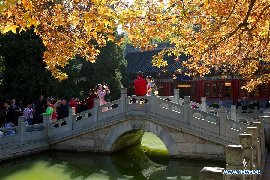 Autumn scenery in Beijing