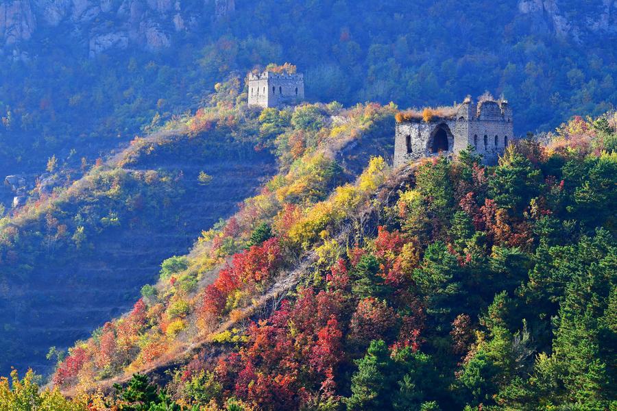 Autumn wonders around China: Photos that grasp the best moments of the season