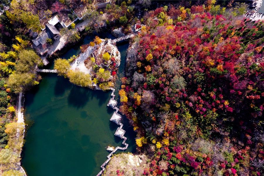 Autumn wonders around China: Photos that grasp the best moments of the season