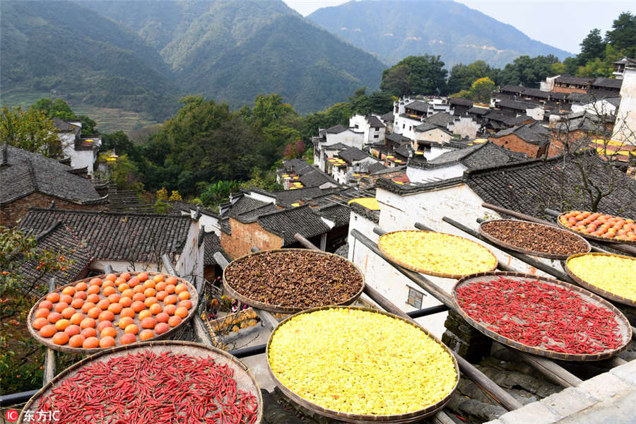 Colorful harvest in Wuyuan, E China