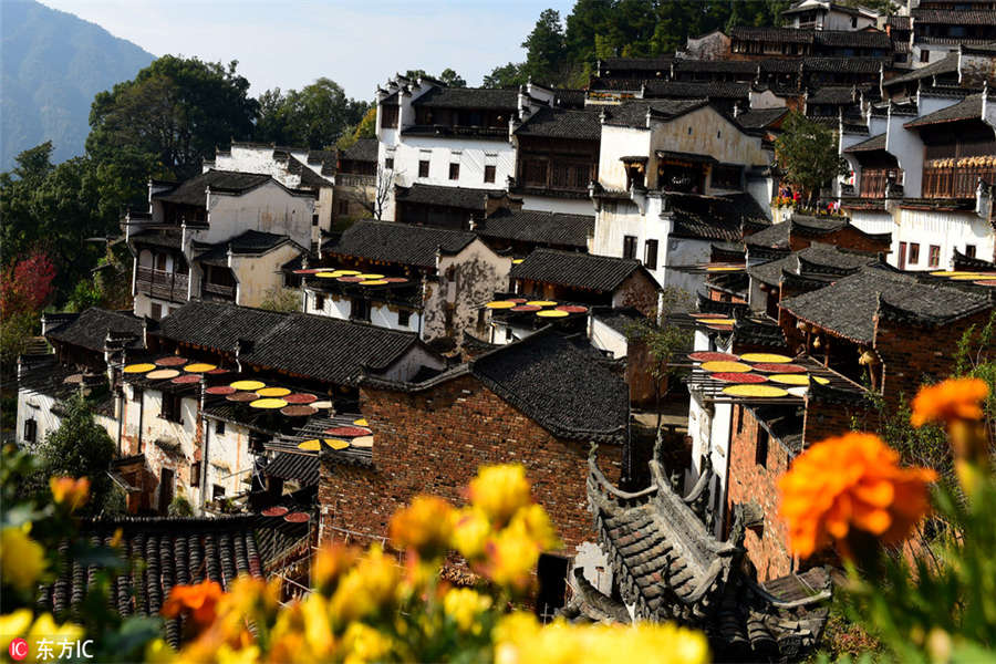 Colorful harvest in Wuyuan, E China