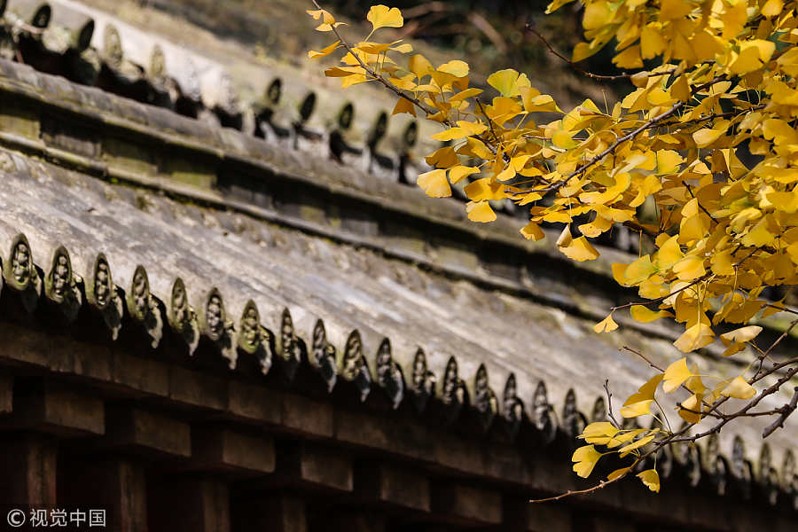 Monks show kung fu stunts under Shaolin Temple tree