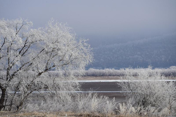 Soft rime dazzles NE China