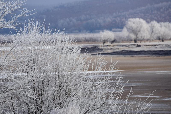 Soft rime dazzles NE China