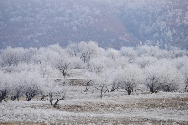 Soft rime dazzles NE China