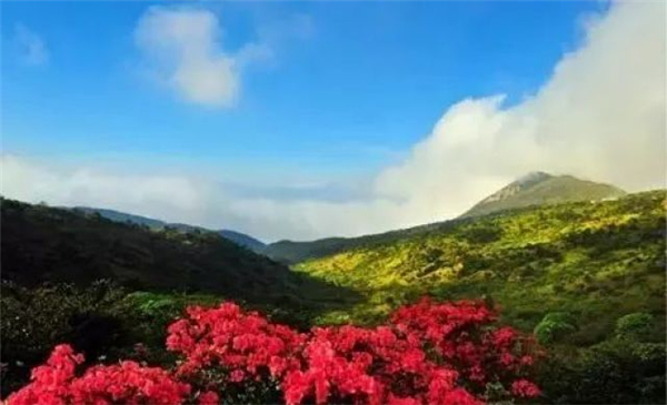 Nature gallery on Jinnao Mountain, E China