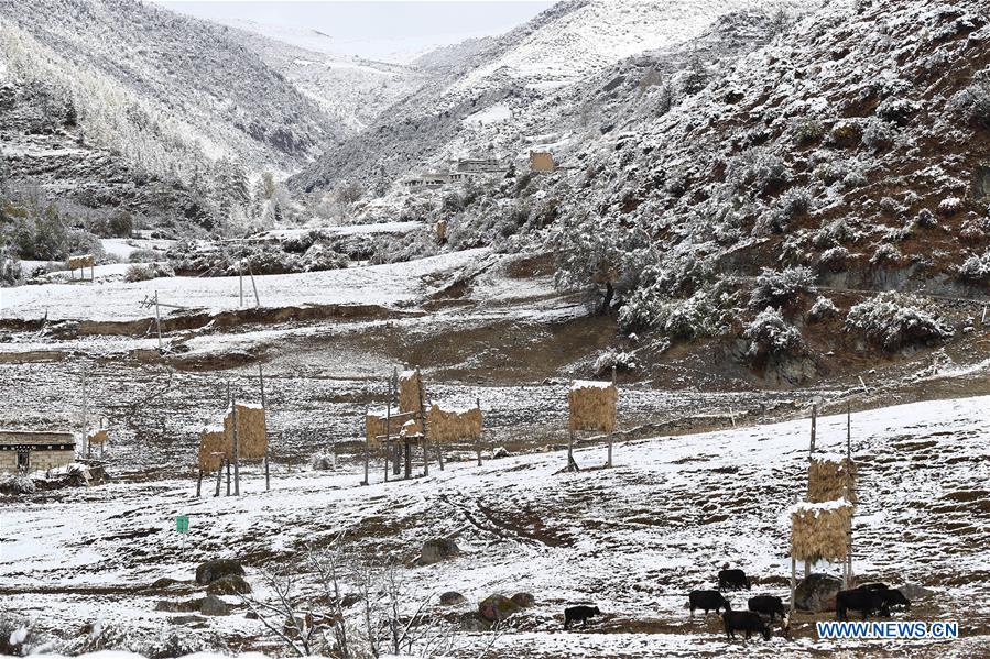 Scenery of snow-covered Yading Nature Reserve in SW China