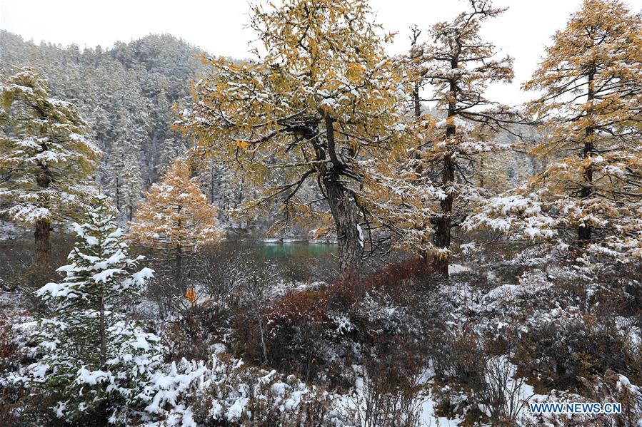 Scenery of snow-covered Yading Nature Reserve in SW China