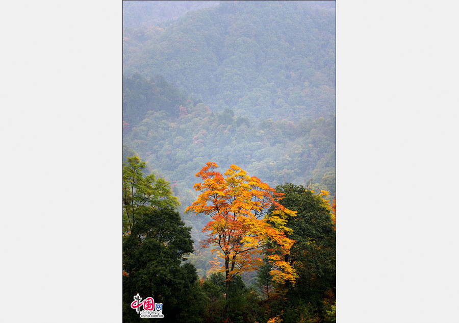 Autumn scenery of Guangwu Mountain in SW China