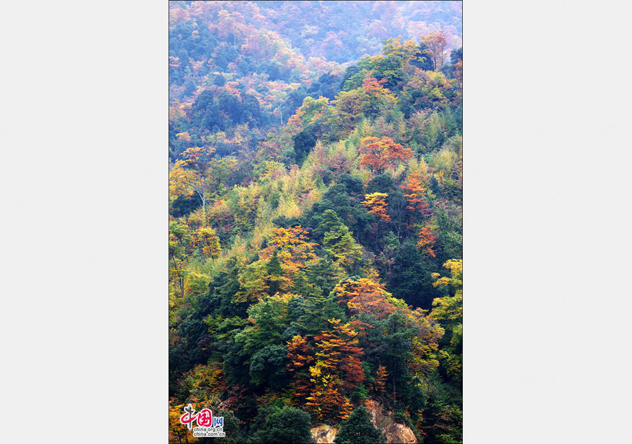 Autumn scenery of Guangwu Mountain in SW China