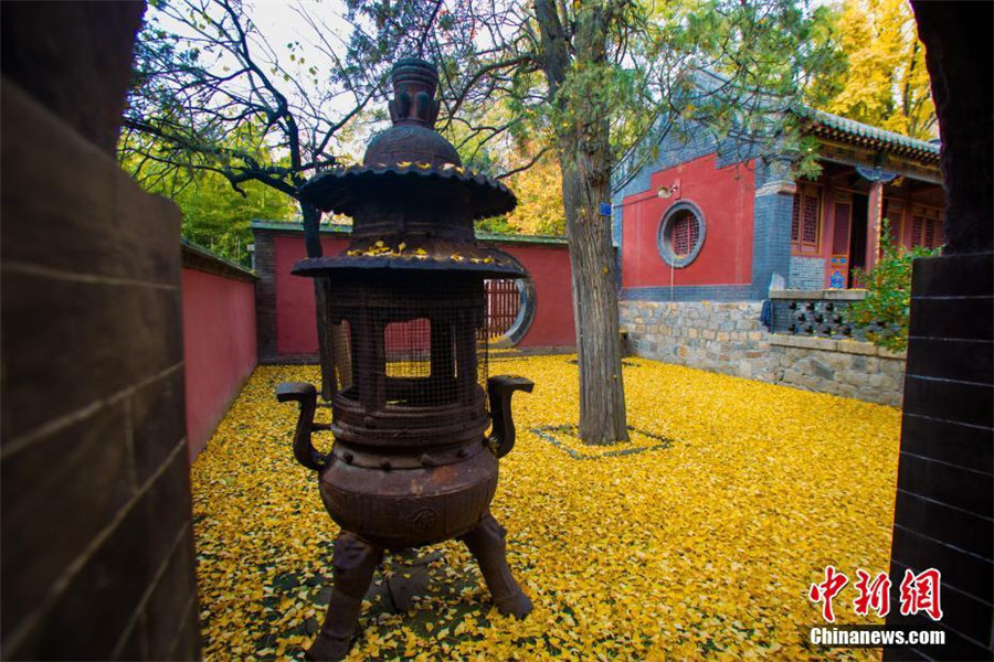 Late autumn scenery of Taishan Mountain in E China