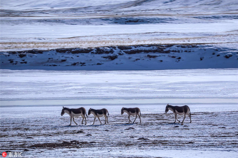 Exploring Sanjiangyuan National Park in wintertime