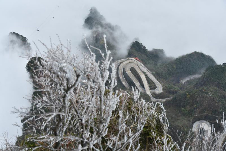 Rime turns Tianmen Mountain into winter wonderland