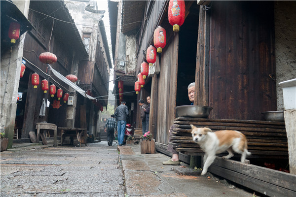 Wuzhen villages offer authentic rural experience