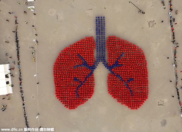 Beijing's giant lung