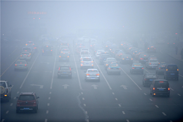Buses lose way in fog