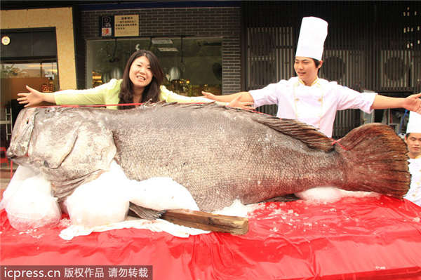 Giant fish