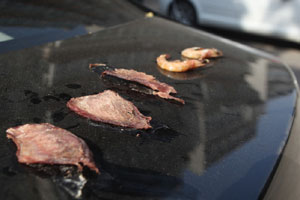 Trending: Scorching day 'cooks' meat