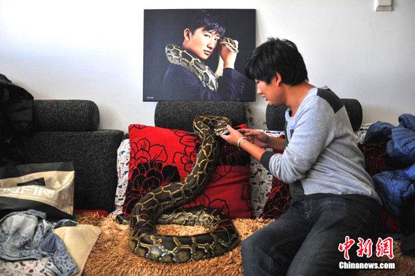 Trending: Snake man lives with pythons