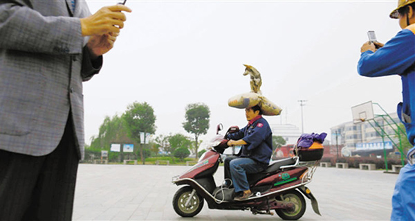 Trending: Dog-on-head man wows audience