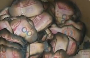 Piles of cash go up in flames