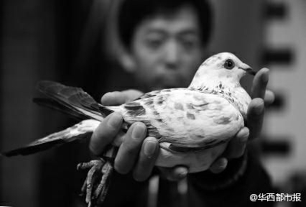 Forbidden City tour turns into 100 km walk for elderly man