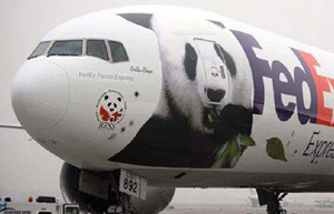 Panda's plane gets prepared