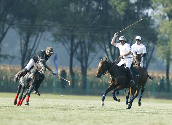 The need for polo