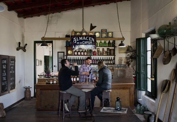 Wine, olive oil and the good life