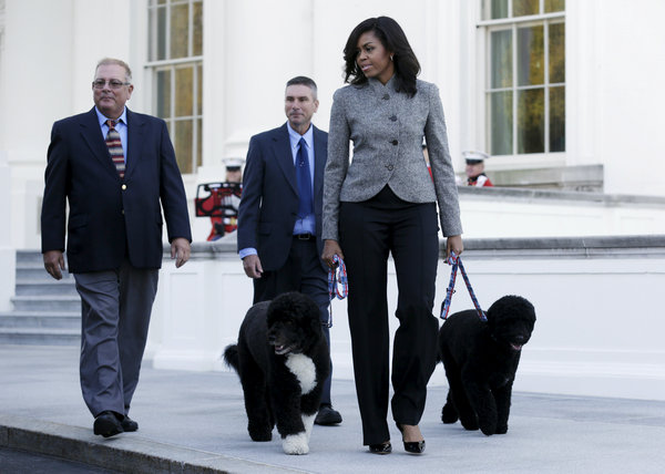Hardly a dog's life for Obama's pets Bo and Sunny