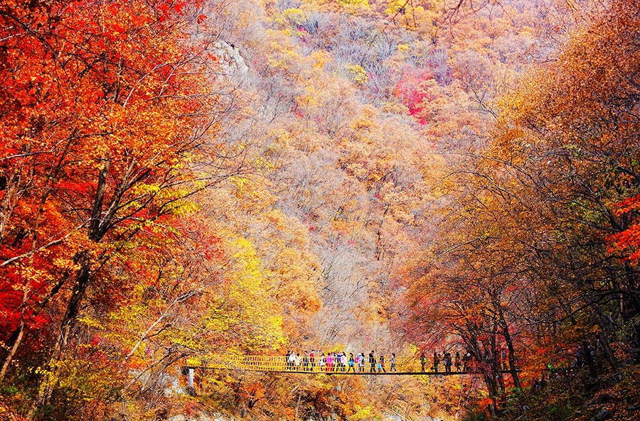Autumnal hues sweep China's scenery