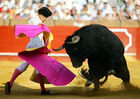 Bullfighting In Seville