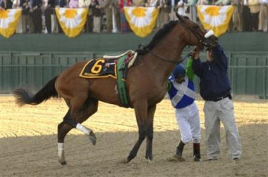 Barbaro is held by jockey Edgar Prado and a track worker after injuring his leg at the start of the 131st running of the Preakness Stakes, Saturday, May 20, 2006, at Pimlico Race Course in Baltimore. (AP Photo