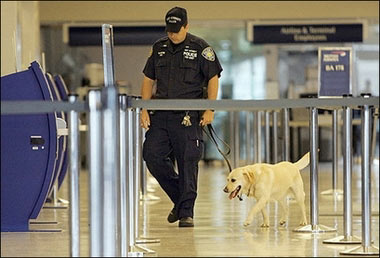 A Port Authority police officer with police dog patrols the British Airways terminal in 2005 at JFK Airport in New York. Prompted by the shooting death of a local police dog last year, an anonymous donor in the city of Glendale, 16 kilometers (10 miles) north of Los Angeles, gave funds to bulletproof the four dogs of his community's K-9 unit.(AFP