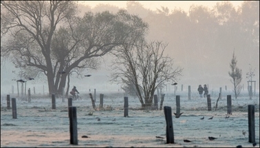 Sun rises over a frozen field near Hanover. A surge in electricity demand in Germany due to cold weather triggered blackouts across western Europe, leaving about 10 percent of French consumers without power, electricity operators said(AFP