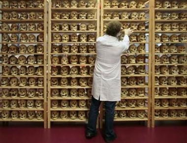 An assistant stands in front of shelving with human skulls in the new workshop of Gunther von Hagens in the eastern German town of Guben, November 17, 2006.
