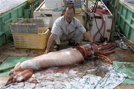 In this handout photograph, Tsunemi Kubodera, chief of Division of Invertebrate Zoology at the National Science Museum of Japan, sits behind a Giant Squid on a boat off Ogasawara Islands, Japan, on December 4, 2006. The squid, was about 3.5 metres (11.5 feet) long and about 50 kg (110 lbs), was caught at a depth of 650 metres (2132.5 feet) off the Islands. National Science Museum of Japan/Handout 