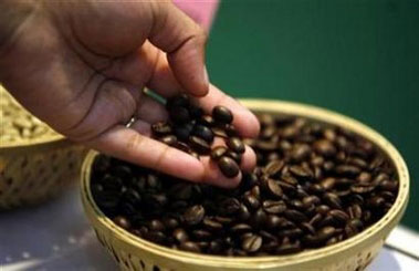 A visitor checks coffee beans at the 'International Coffee Festival 2007' in the southern Indian city of Bangalore February 24, 2007. Drinking coffee can help ward off type 2 diabetes and may even help prevent certain cancers, according to panelists discussing the benefits -- and risks -- of the beverage at a scientific meeting. 