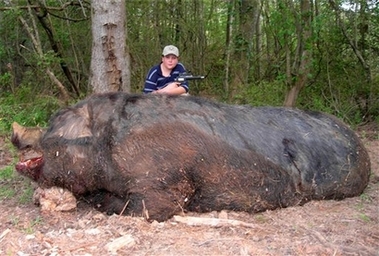 In this photo released by Melynne Stone, Jamison Stone, 11, poses with a wild pig he killed near Delta, Ala., May 3, 2007. Stone's father says the hog weighed a staggering 1,051 pounds and measured 9-feet-4 from the tip of its snout to the base of its tail. If claims of the animal's size are true, it would be larger than ``Hogzilla,'' the huge hog killed in Georgia in 2004. (AP Photo/Melynne Stone) 