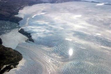 Arctic once was tropical paradise