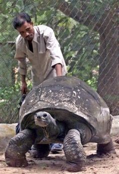 250-year old tortoise dies
