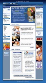 US porn maker allows downloads for TV viewing