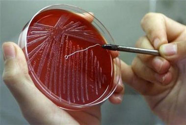 We are not entirely human - gene experts