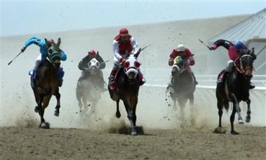 Cloned mules lose to naturals in pro race