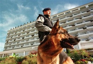 New dogs learn old tricks