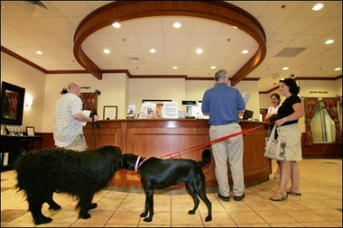 Doggie hotel opens, $23 a night
