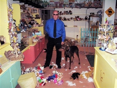 Hound dog mauls Elvis's teddy bear