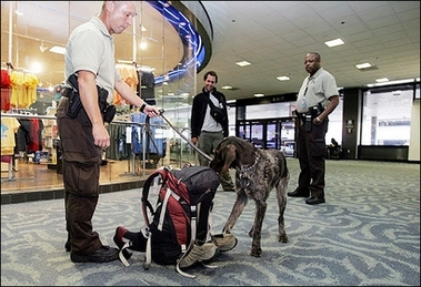 Flights from Britain to US under safety scrutiny